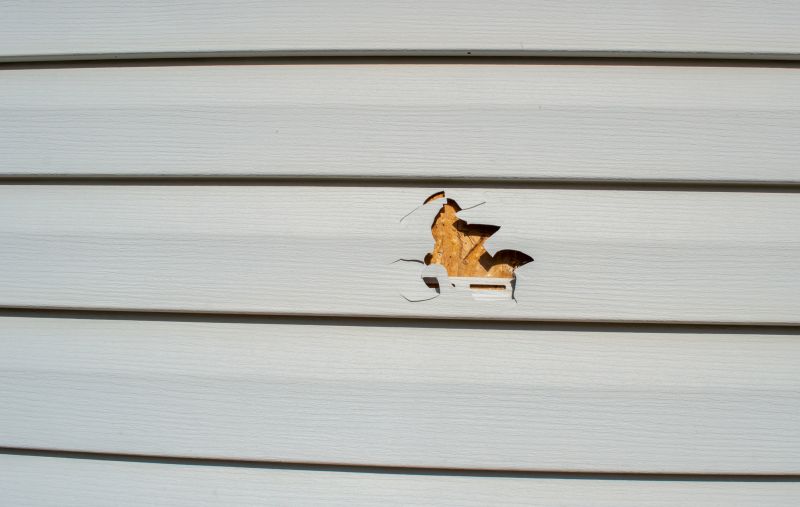 Seamless Vinyl Siding Patch